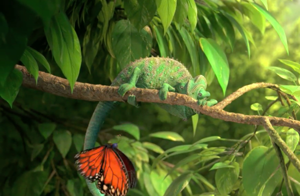 Photo du court métrage The common chameleon