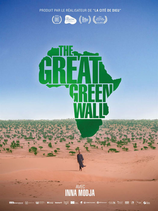 Affiche du film The great green wall