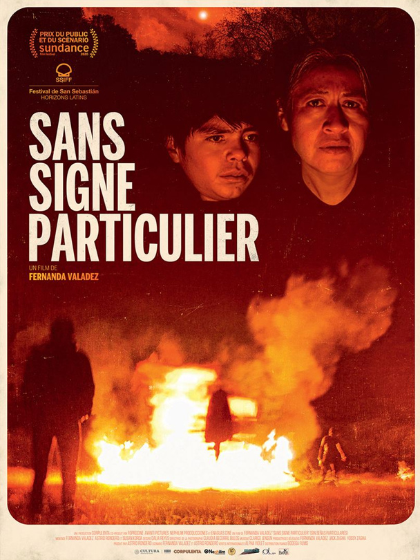 Affiche du film Sans signe particulier