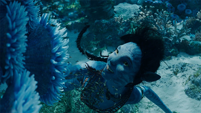 Photo du film Avatar la voie de l'eau