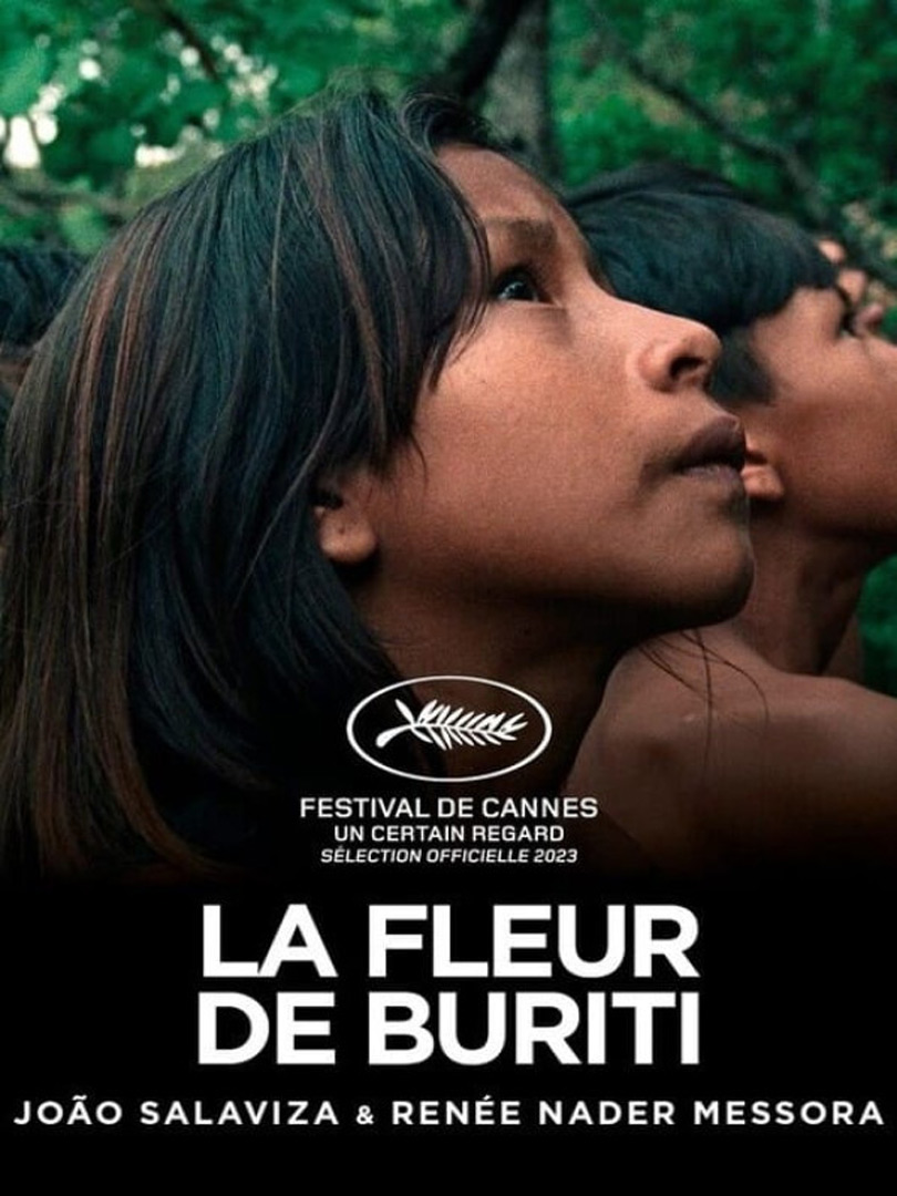 Affiche du film La fleur de Buriti