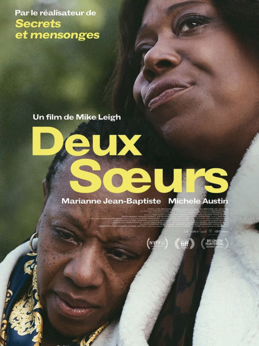 Affiche du film Deux soeurs