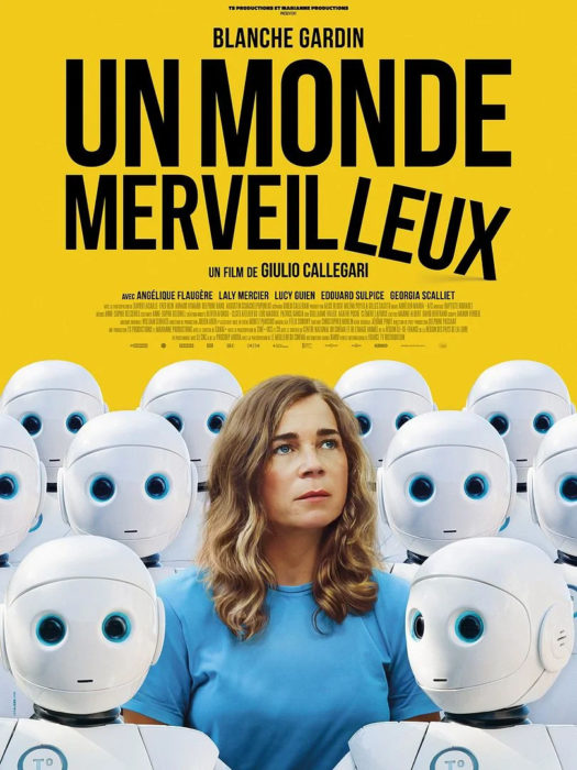 Affiche du film Un monde merveilleux