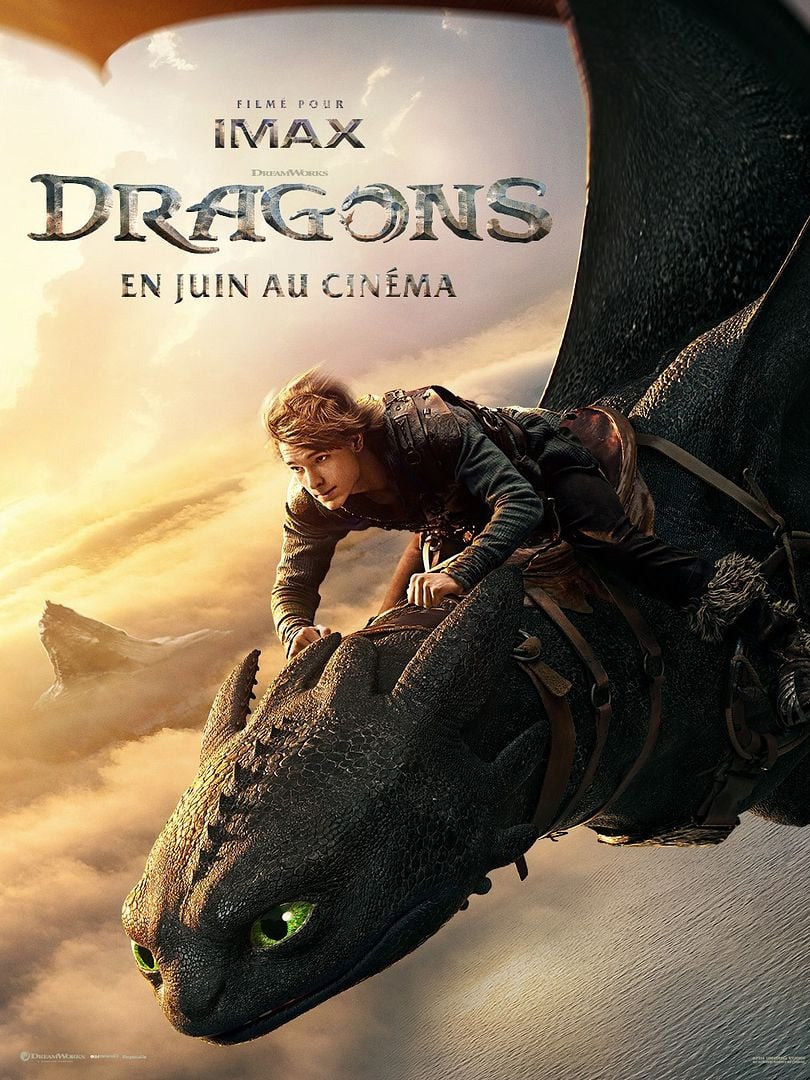 Affiche du film Dragons