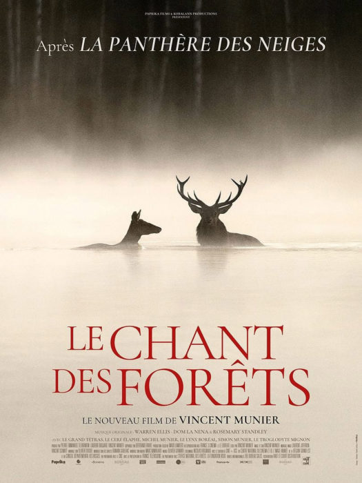 Affiche du film Le chant des forêts