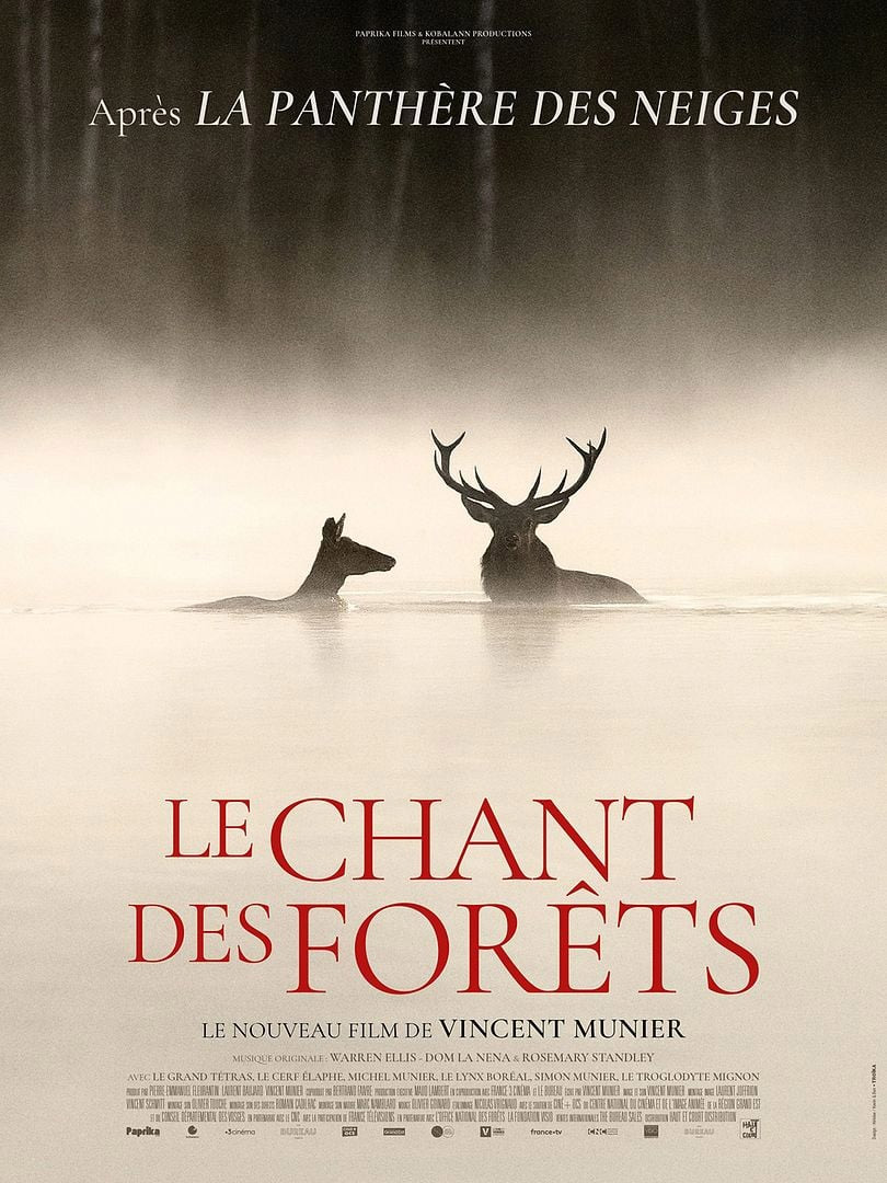 Affiche du film Le chant des forêts