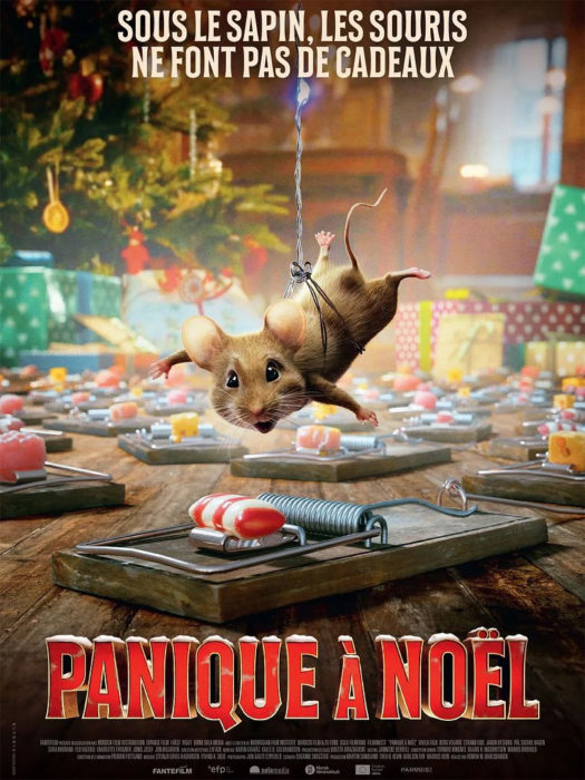 Affiche du film Panique à Noël