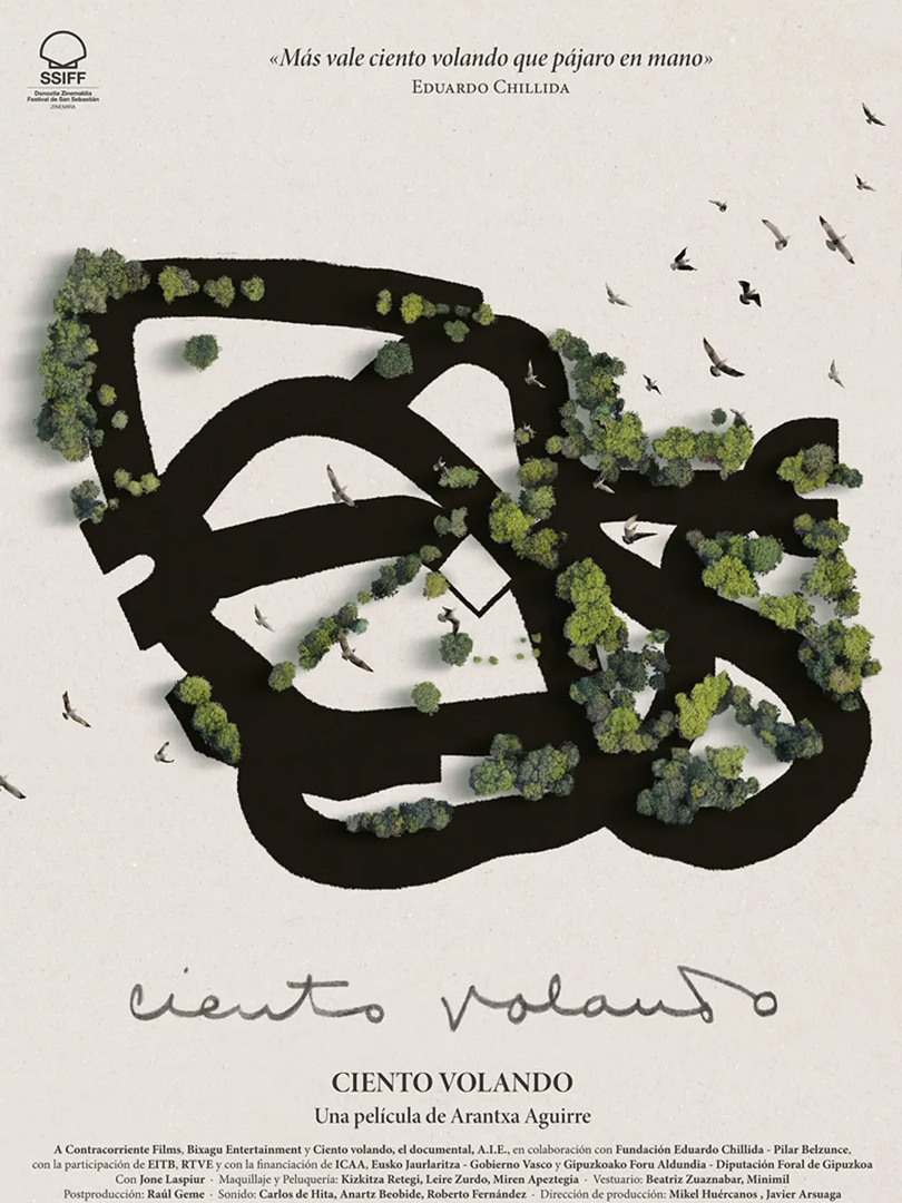 Affiche du film Chillida, cent oiseaux dans le ciel