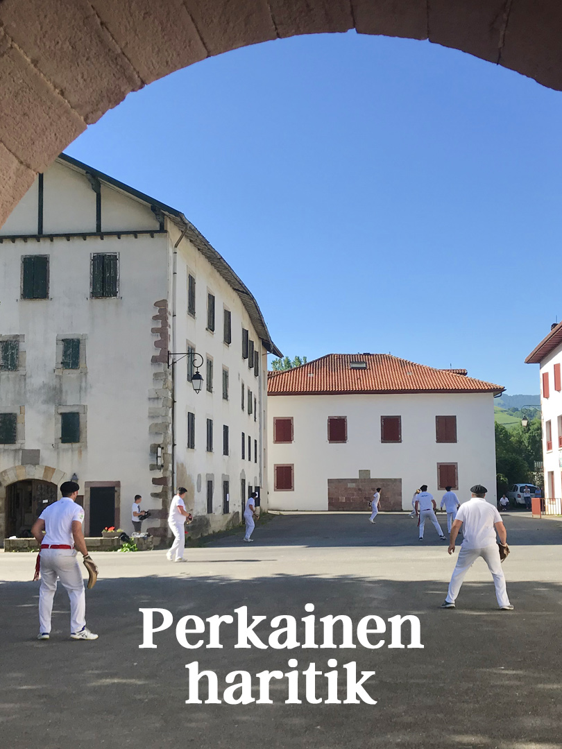 Affiche du film Perkainen haritik